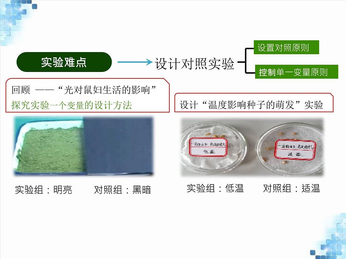 2024-2025学年人教版生物七年级下册 3.1.1 种子的萌发 课件第7页