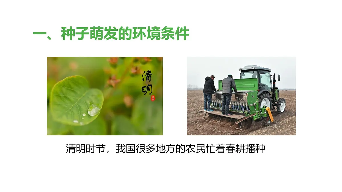 2024-2025学年人教版生物七年级下册 3.1.1 种子的萌发 (1)课件第3页