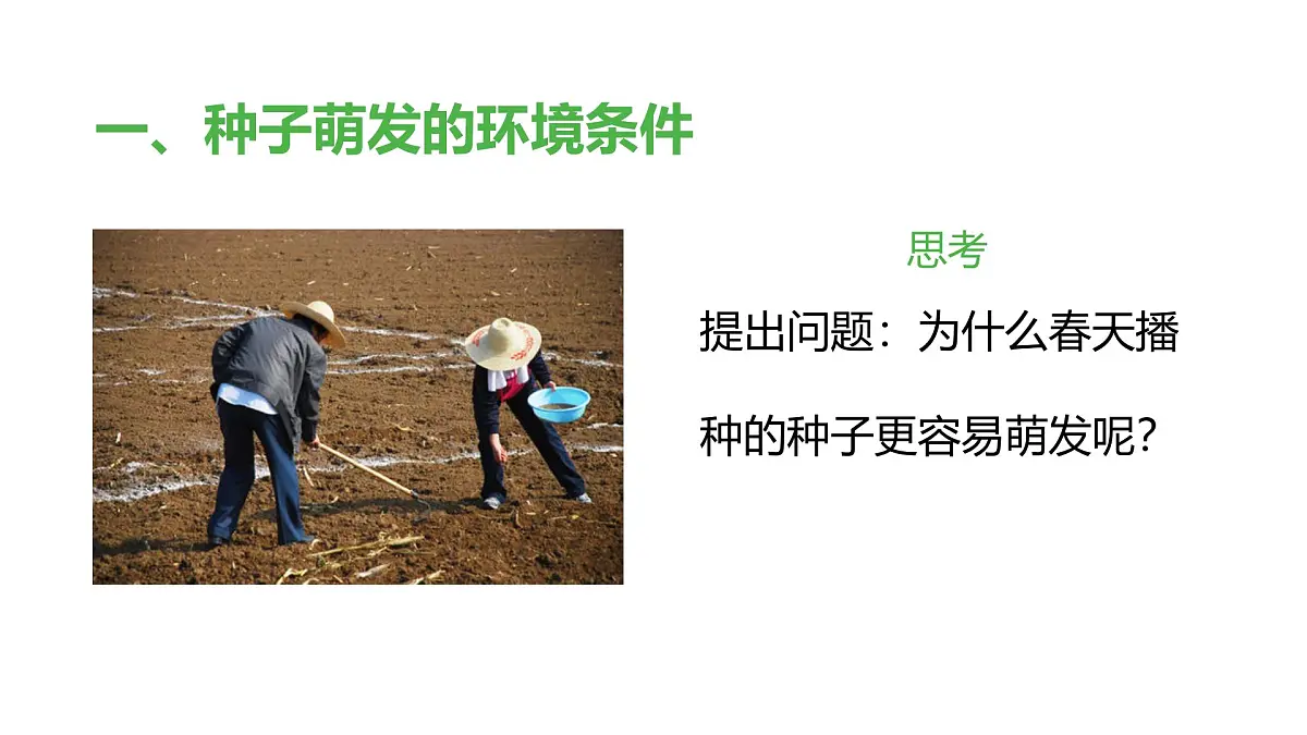 2024-2025学年人教版生物七年级下册 3.1.1 种子的萌发 (1)课件第4页