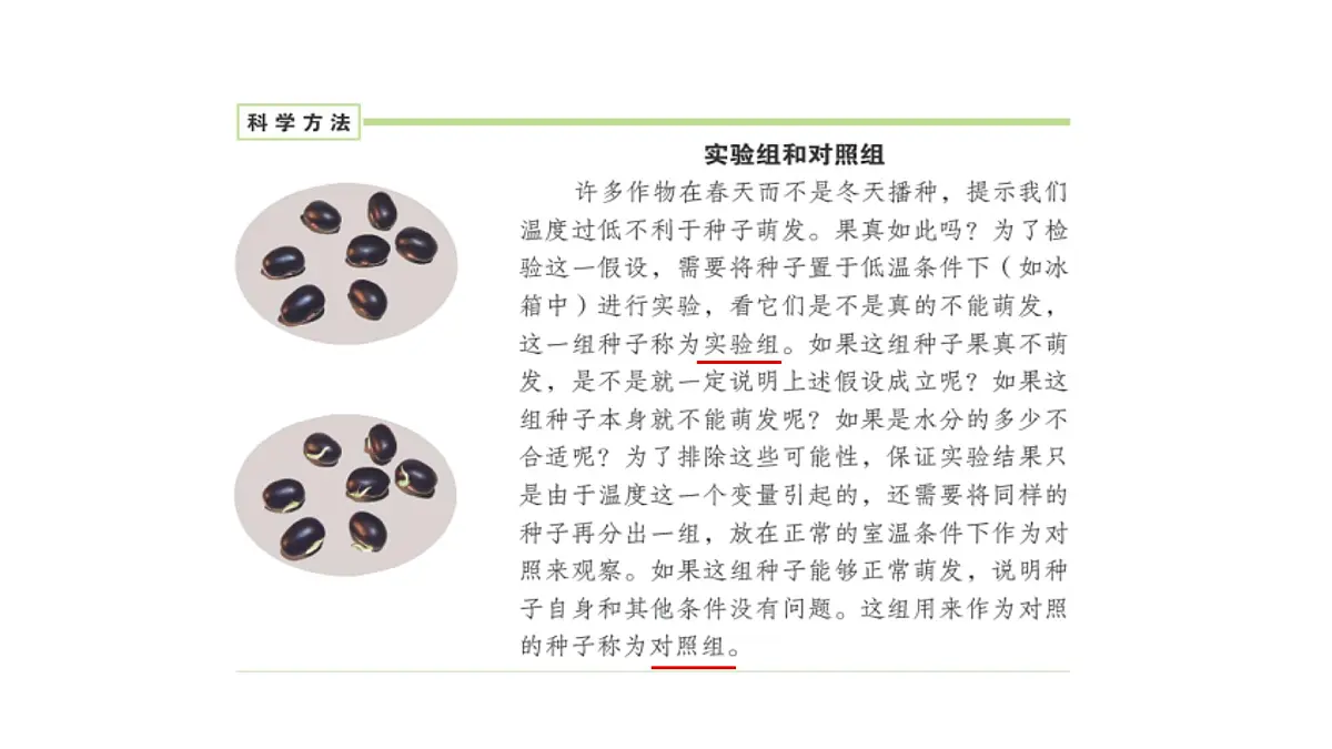 2024-2025学年人教版生物七年级下册 3.1.1 种子的萌发 (1)课件第7页