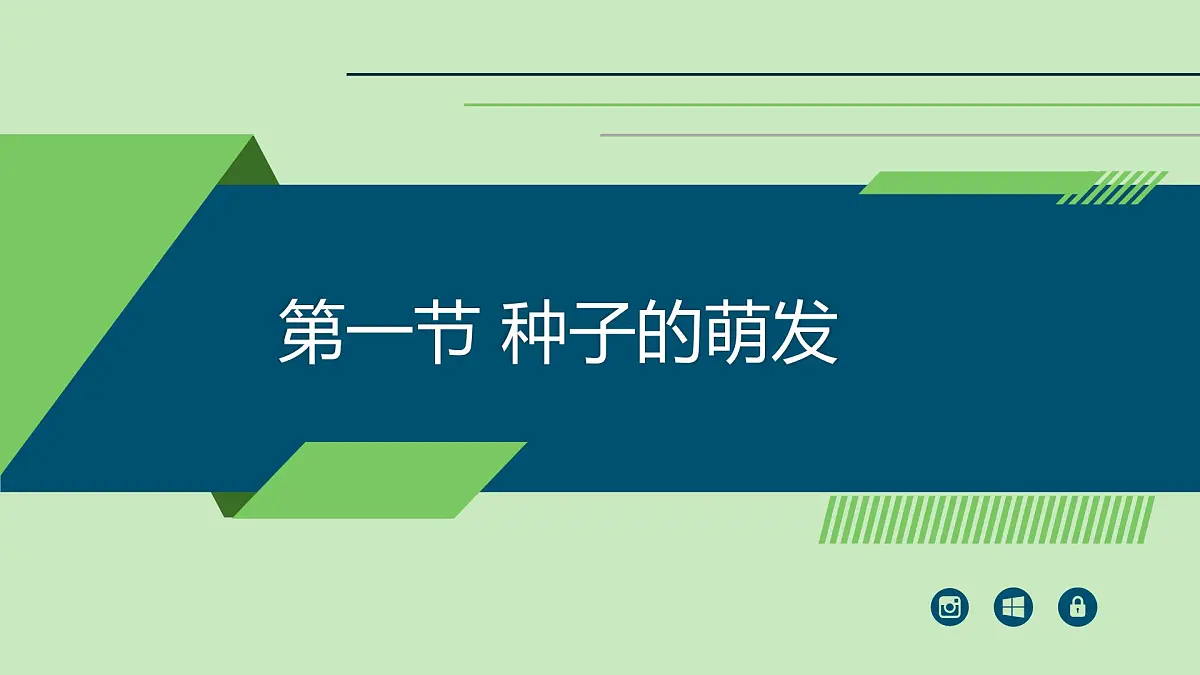 2024-2025学年人教版生物七年级下册 3.1.1 种子的萌发 (3) 课件第1页