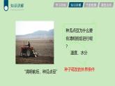 2024-2025學(xué)年人教版生物七年級下冊 3.1.1 種子的萌發(fā) (3) 課件
