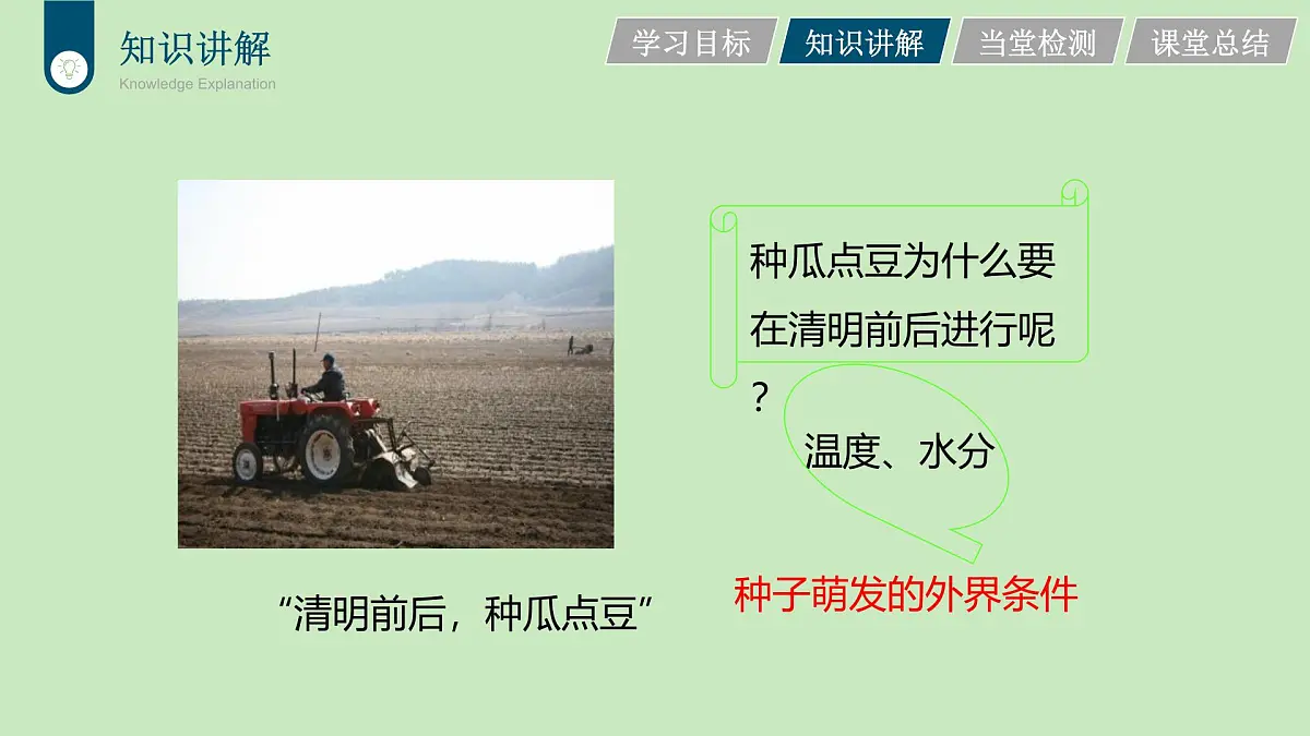 2024-2025学年人教版生物七年级下册 3.1.1 种子的萌发 (3) 课件第2页