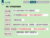 2024-2025學(xué)年人教版生物七年級下冊 3.1.1 種子的萌發(fā) (3) 課件