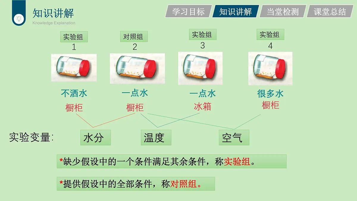 2024-2025学年人教版生物七年级下册 3.1.1 种子的萌发 (3) 课件第6页