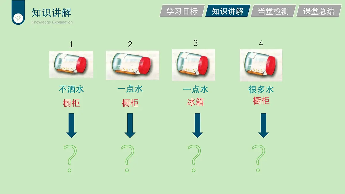 2024-2025学年人教版生物七年级下册 3.1.1 种子的萌发 (3) 课件第7页