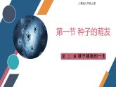 2024-2025學(xué)年人教版生物七年級下冊 3.1.1 種子的萌發(fā) (4) 課件