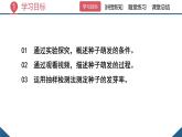 2024-2025學(xué)年人教版生物七年級下冊 3.1.1 種子的萌發(fā) (4) 課件