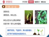 2024-2025學(xué)年人教版生物七年級下冊 3.1.1 種子的萌發(fā) (4) 課件