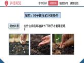 2024-2025學(xué)年人教版生物七年級下冊 3.1.1 種子的萌發(fā) (4) 課件