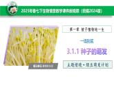 2024-2025學(xué)年人教版生物七年級下冊 3.1.1種子的萌發(fā) (主題情境：綠豆萌發(fā)計劃)課件
