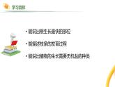 2024-2025學(xué)年人教版生物七年級(jí)下冊(cè) 3.1.2  植株的生長(zhǎng) (2) 課件