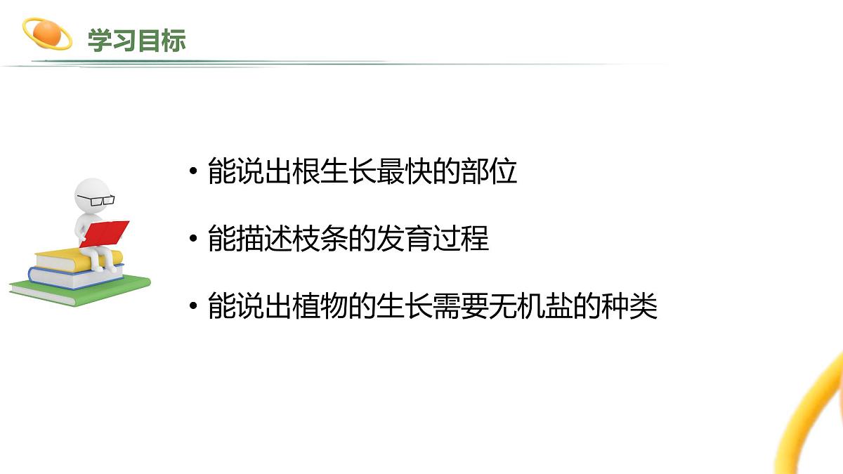 2024-2025学年人教版生物七年级下册 3.1.2 植株的生长 (2) 课件第2页