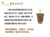 2024-2025學(xué)年人教版生物七年級(jí)下冊(cè) 3.1.2  植株的生長(zhǎng) (2) 課件