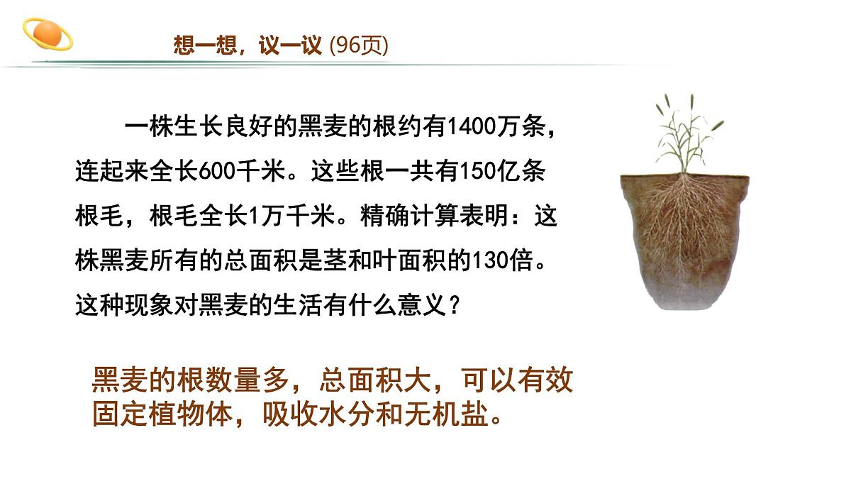 2024-2025学年人教版生物七年级下册 3.1.2 植株的生长 (2) 课件第3页