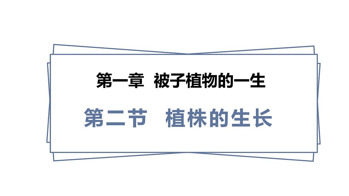 2024-2025学年人教版生物七年级下册 3.1.2  植株的生长 (3) 课件第1页