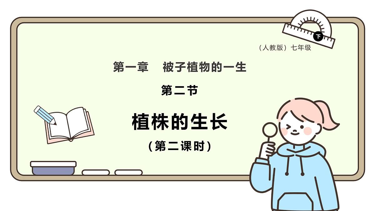 2024-2025学年人教版生物七年级下册 3.1.2 植株的生长（第二课时）课件第1页