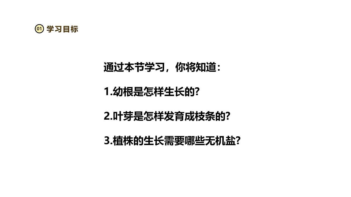 2024-2025学年人教版生物七年级下册 3.1.2 植株的生长（第二课时）课件第2页