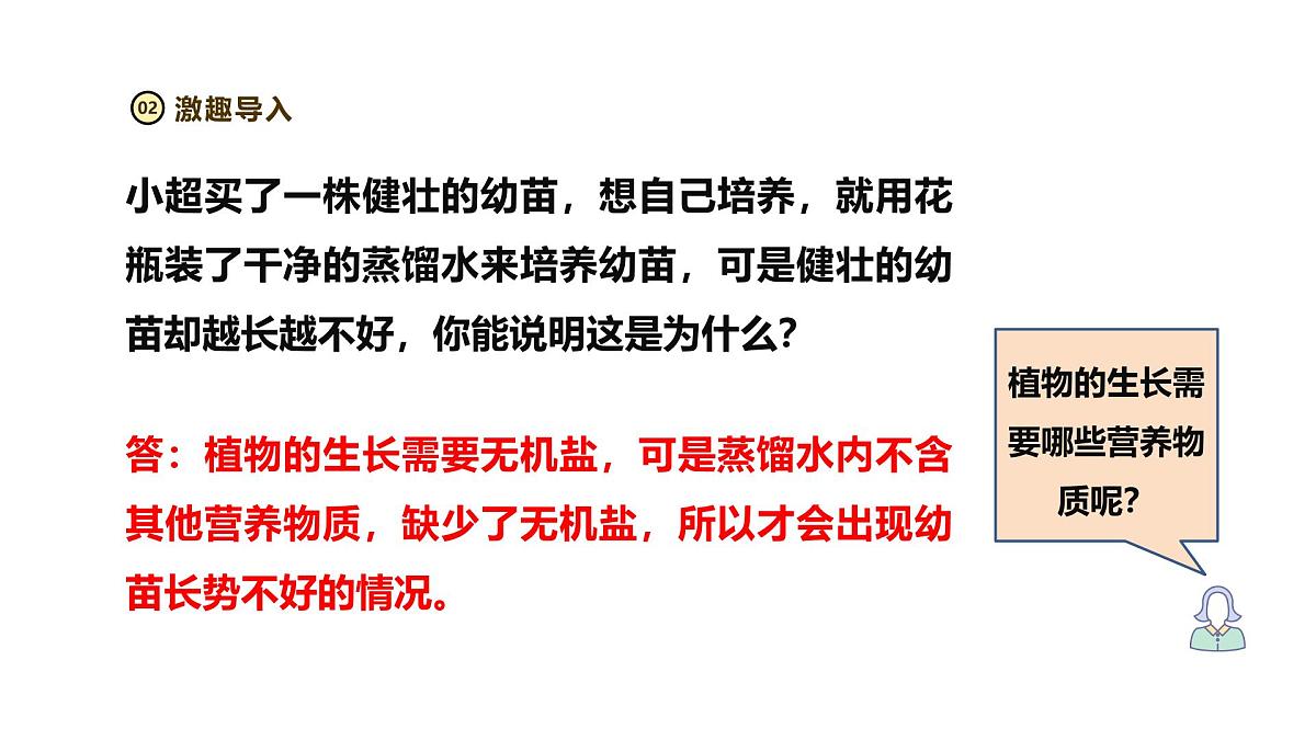 2024-2025学年人教版生物七年级下册 3.1.2 植株的生长（第二课时）课件第3页
