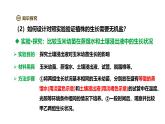2024-2025學(xué)年人教版生物七年級(jí)下冊(cè) 3.1.2 植株的生長(zhǎng)（第二課時(shí)）課件