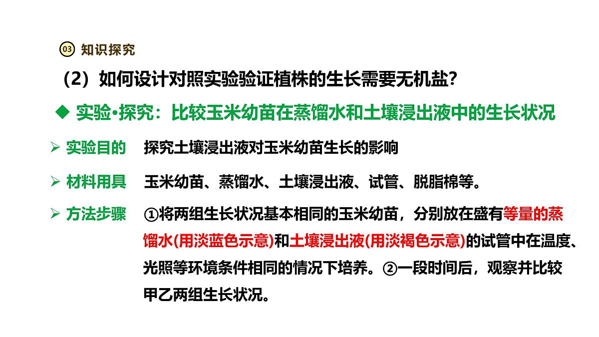 2024-2025学年人教版生物七年级下册 3.1.2 植株的生长（第二课时）课件第5页