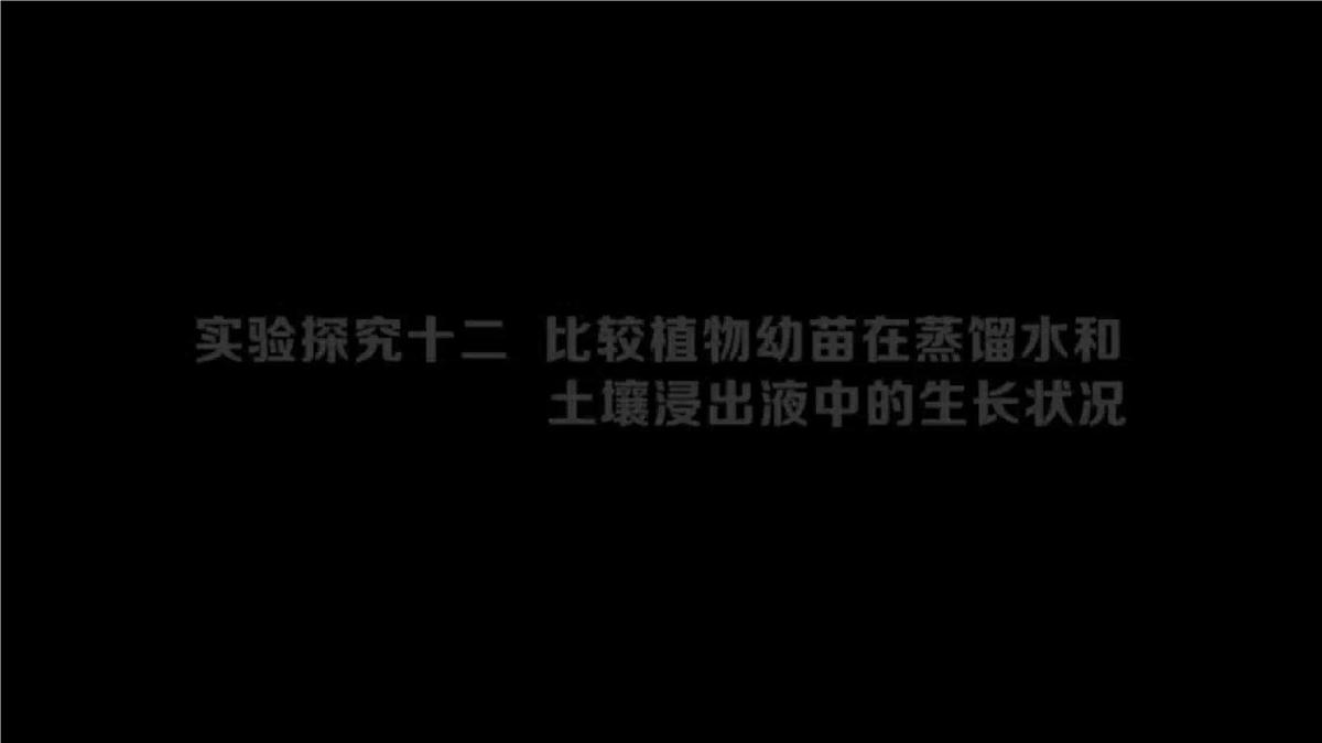 2024-2025学年人教版生物七年级下册 3.1.2 植株的生长（第二课时）课件第7页