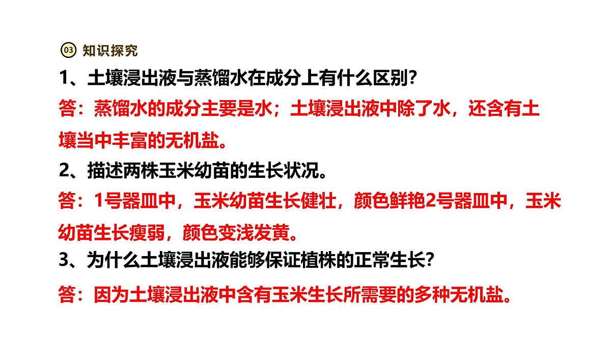 2024-2025学年人教版生物七年级下册 3.1.2 植株的生长（第二课时）课件第8页