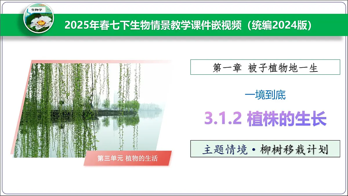 2024-2025学年人教版生物七年级下册 3.1.2植株的生长 (主题情境：柳树移栽计划)课件第1页