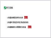 2024-2025學(xué)年人教版生物七年級(jí)下冊(cè) 3.1.2植株的生長(zhǎng) (主題情境：柳樹(shù)移栽計(jì)劃)課件