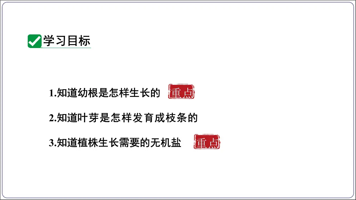 2024-2025学年人教版生物七年级下册 3.1.2植株的生长 (主题情境：柳树移栽计划)课件第2页
