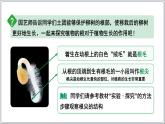 2024-2025學(xué)年人教版生物七年級(jí)下冊(cè) 3.1.2植株的生長(zhǎng) (主題情境：柳樹(shù)移栽計(jì)劃)課件