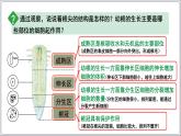 2024-2025學(xué)年人教版生物七年級(jí)下冊(cè) 3.1.2植株的生長(zhǎng) (主題情境：柳樹(shù)移栽計(jì)劃)課件