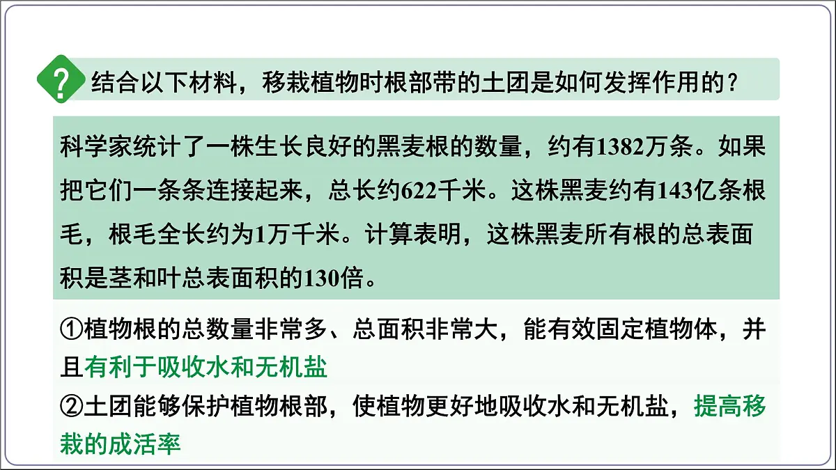 2024-2025学年人教版生物七年级下册 3.1.2植株的生长 (主题情境：柳树移栽计划)课件第6页