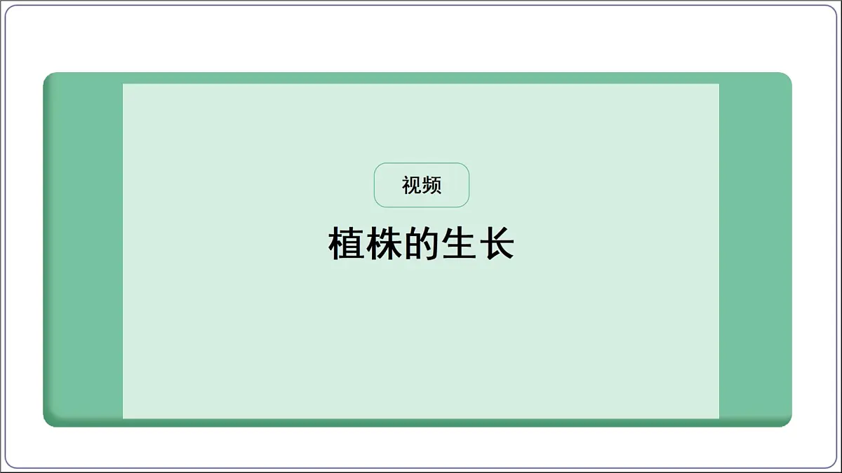 2024-2025学年人教版生物七年级下册 3.1.2植株的生长 (主题情境：柳树移栽计划)课件第7页