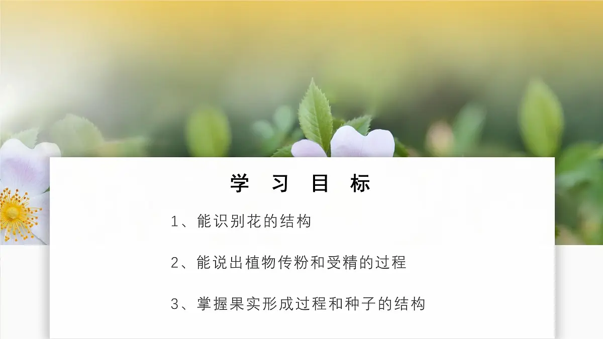 2024-2025学年人教版生物七年级下册 3.1.3 开花和结果课件第2页