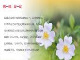 2024-2025學年人教版生物七年級下冊 3.1.3  開花和結(jié)果課件