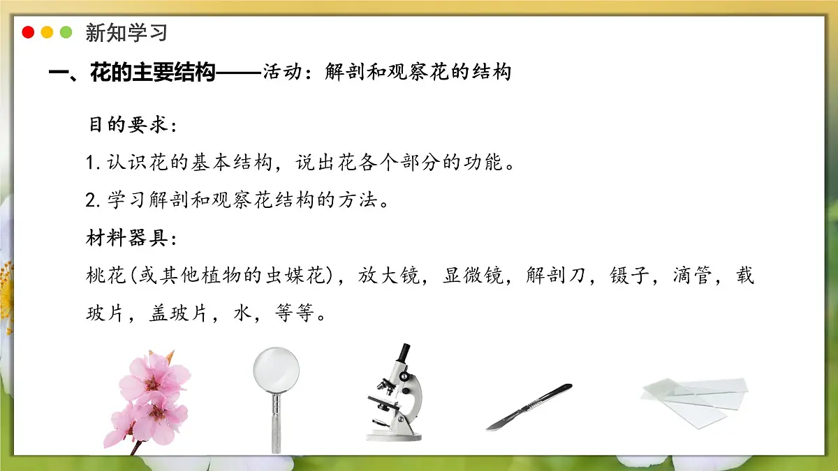 2024-2025学年人教版生物七年级下册 3.1.3 开花和结果课件第4页