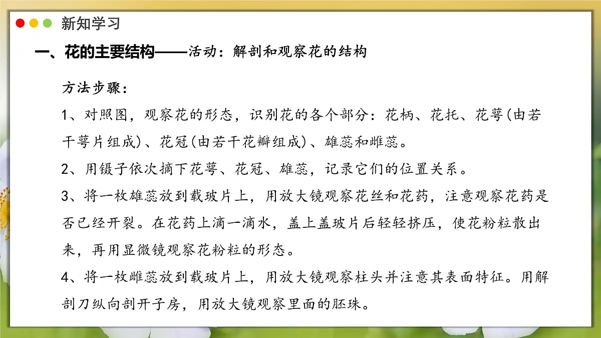 2024-2025学年人教版生物七年级下册 3.1.3 开花和结果课件第5页