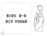 2024-2025學年人教版生物七年級下冊 3.1.3 開花和結(jié)果課件