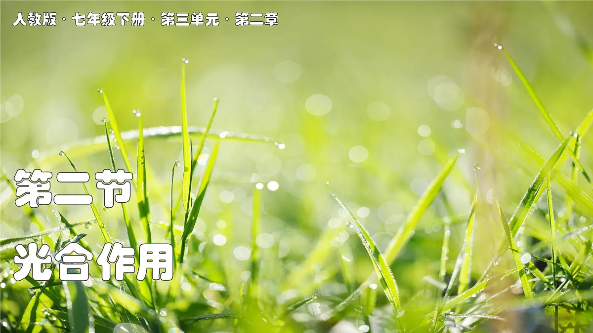 2024-2025学年人教版生物七年级下册 3.2.2 光合作用课件第1页