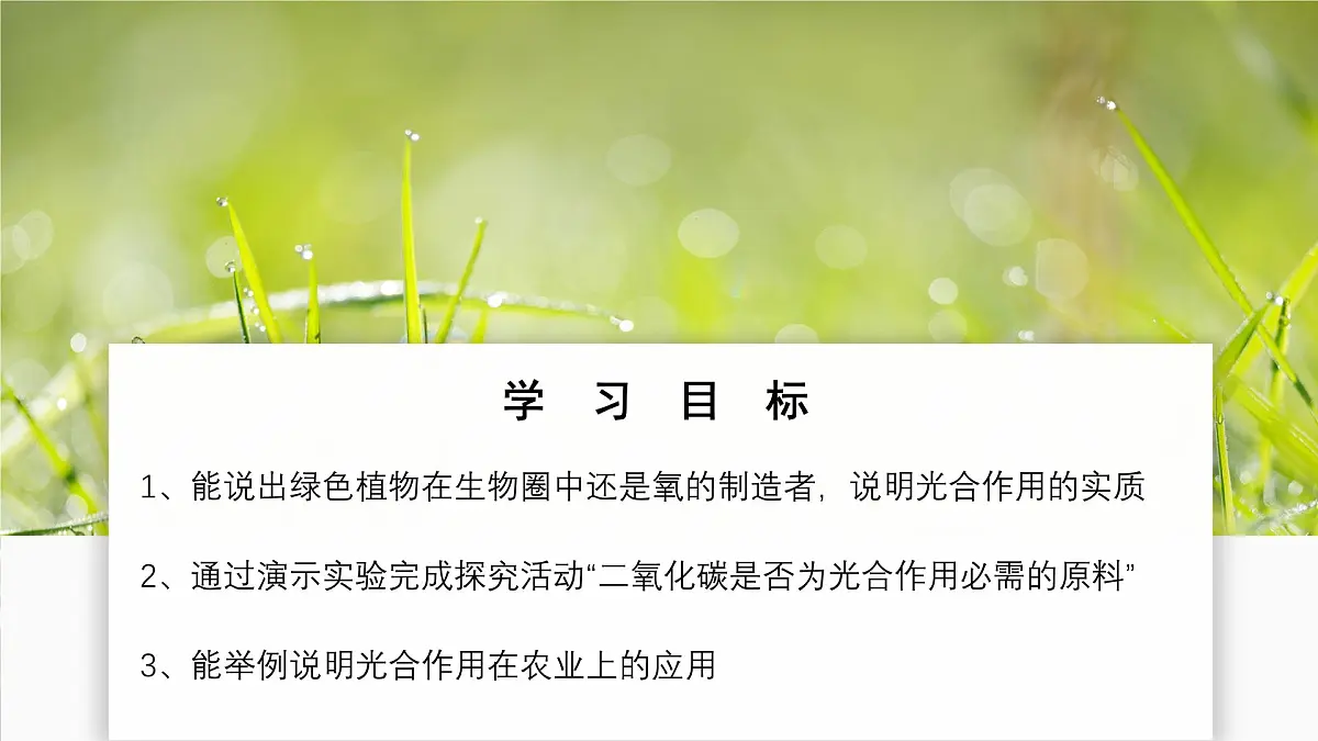 2024-2025学年人教版生物七年级下册 3.2.2 光合作用课件第2页
