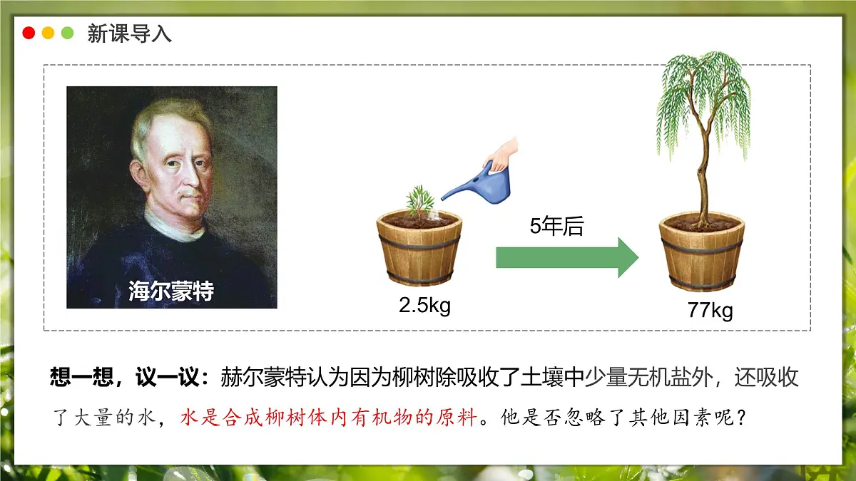 2024-2025学年人教版生物七年级下册 3.2.2 光合作用课件第3页