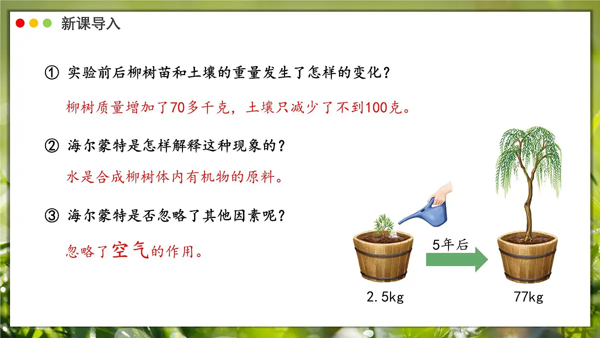 2024-2025学年人教版生物七年级下册 3.2.2 光合作用课件第4页