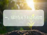 2024-2025學(xué)年人教版生物七年級下冊 3.2.2  光合作用課件