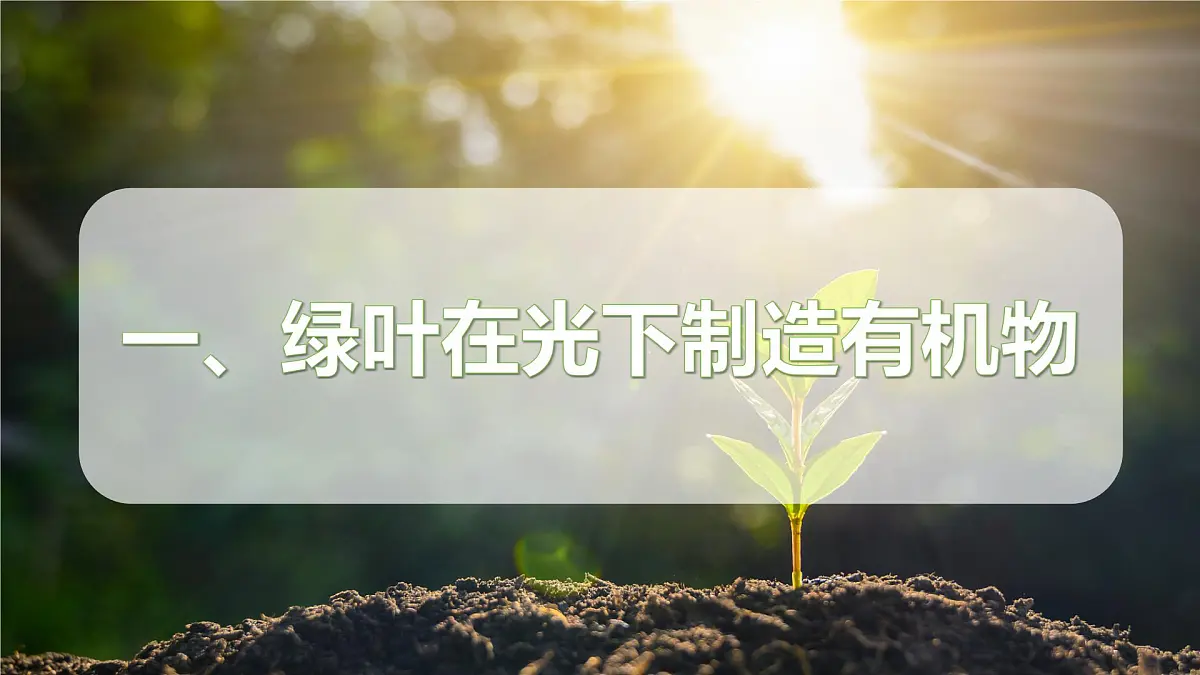 2024-2025学年人教版生物七年级下册 3.2.2 光合作用课件第5页