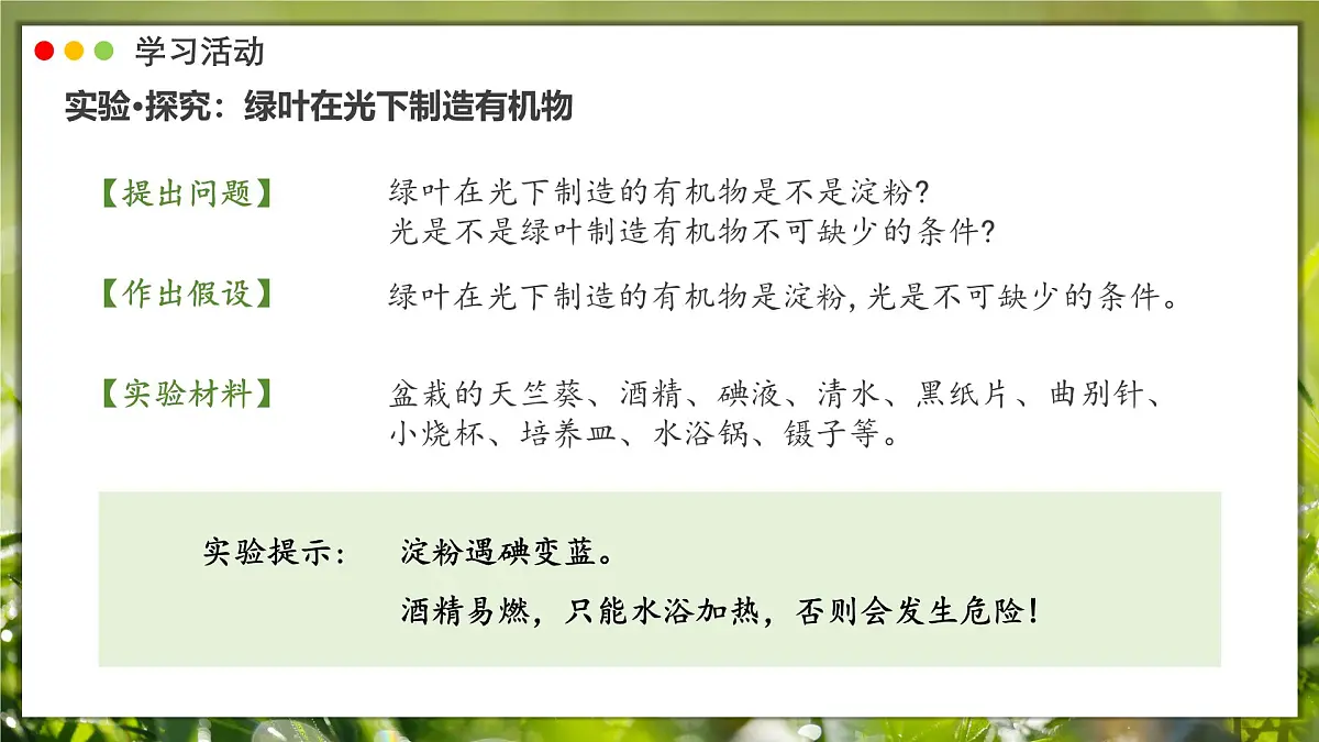 2024-2025学年人教版生物七年级下册 3.2.2 光合作用课件第6页