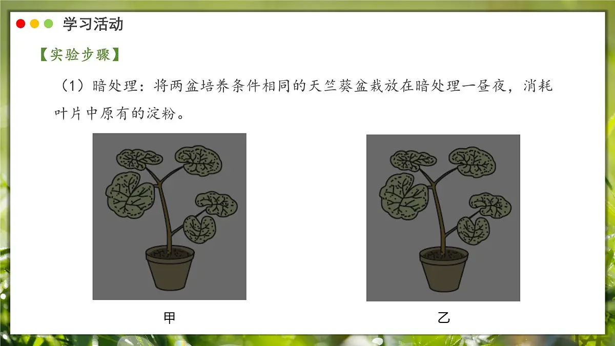 2024-2025学年人教版生物七年级下册 3.2.2 光合作用课件第7页