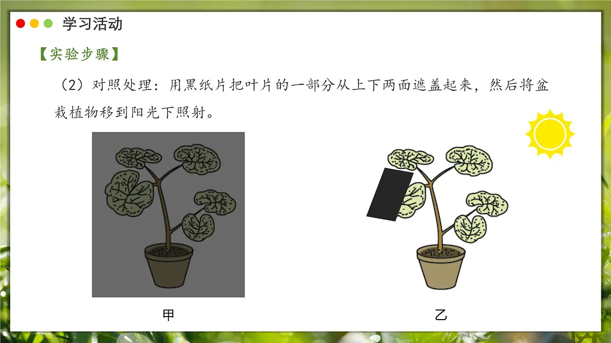 2024-2025学年人教版生物七年级下册 3.2.2 光合作用课件第8页