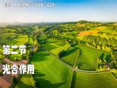 2024-2025學(xué)年人教版生物七年級下冊 3.2.2 光合作用 課件