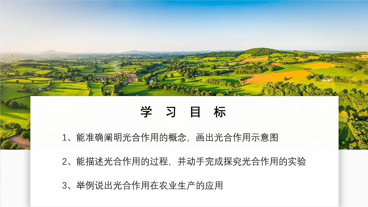 2024-2025学年人教版生物七年级下册 3.2.2 光合作用 课件第2页